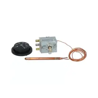 Termostato monofase TR2 completo da 0 a 90°C