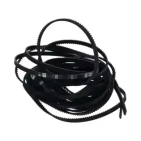 Correa dentada Sielaff OEM 7040009800 para transmisión horizontal.