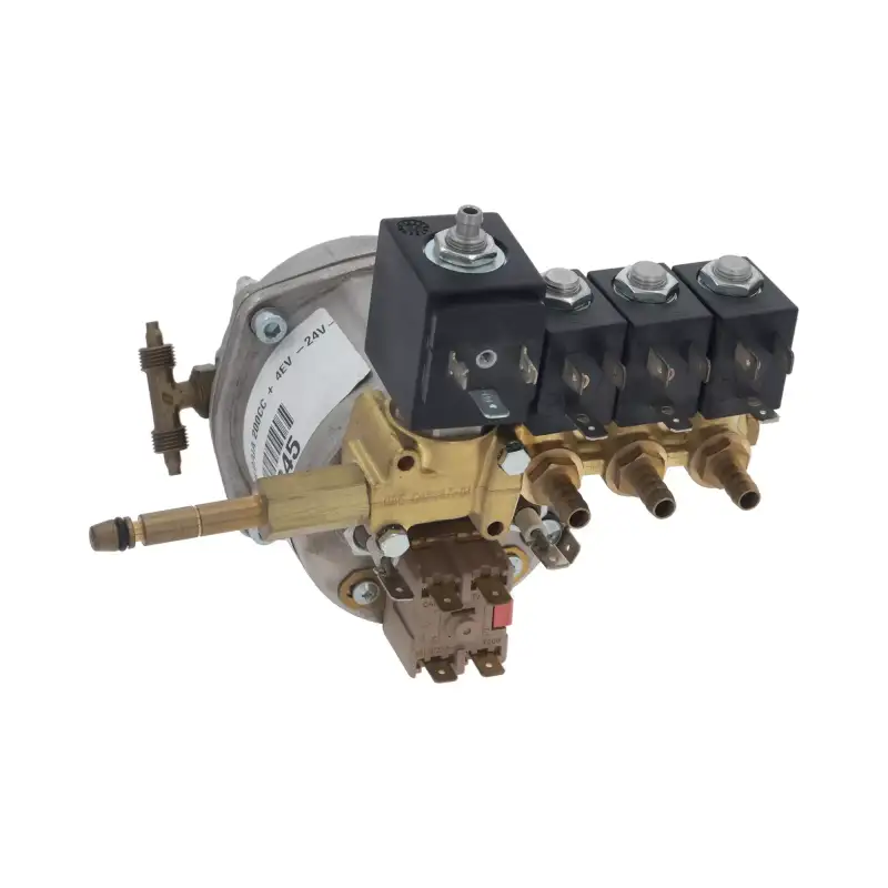 Caldaia OEM Necta Vending 200 cc 4EV 24 V