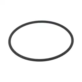 Bezzera O-Ring OEM 7496040 FKM 73 x 3 mm