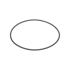 Animo Compatible O-Ring 2.62x94.92 mm EPDM Made in Italy