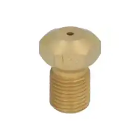 Fagor OEM 12008793 Gas Jet M10x1 Ø 1.65 mm Vervangend Onderdeel