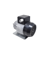 Faema E61 motor RPM 300W 230V