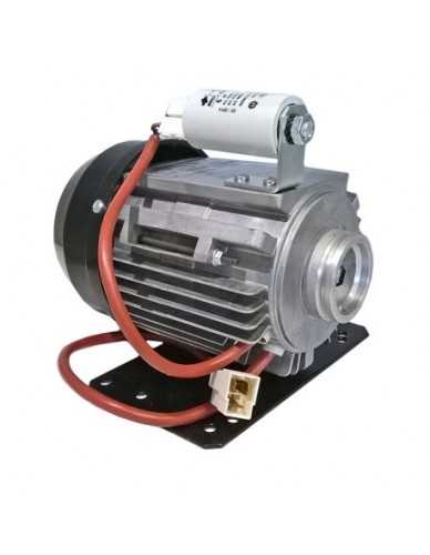 RPM clamp ring motor 165W 230V 50/60Hz
