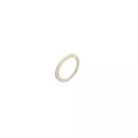 La San Marco PTFE heating element gasket 56x46.5x3mm