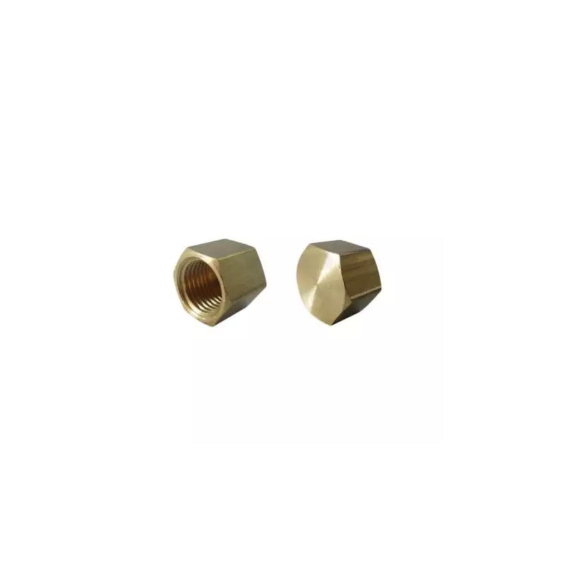 Female plug 1/2"