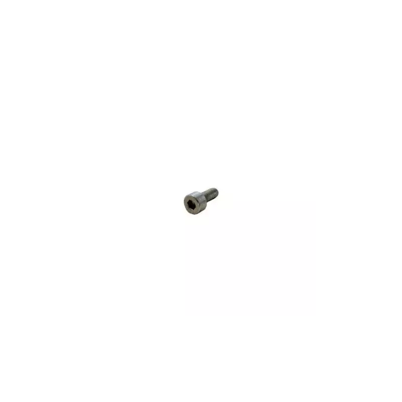Solenoid valve screw M4x10