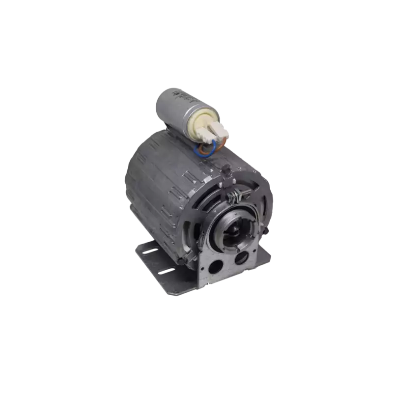 RPM pump motor 165W 230V 50/60Hz