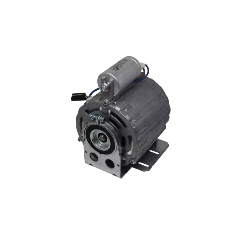 RPM pump motor 165W 230V 50/60Hz