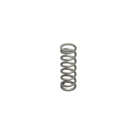 Spring for steam valve 10.8x30 mm