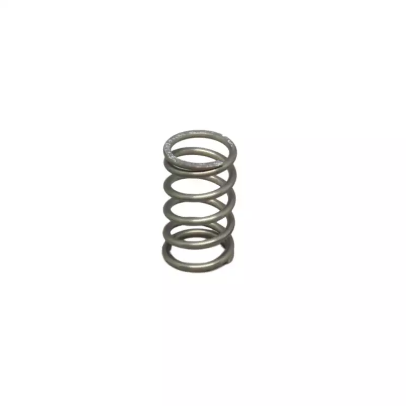 Valve spring for steam and water valve