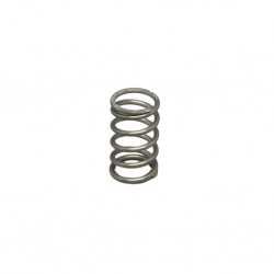 Valve spring for steam and water valve