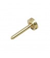 Piston du groupe de brassage