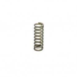 Elektra steam water valve spring