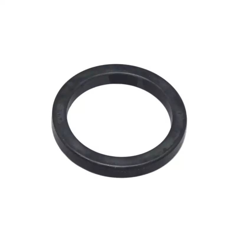 Portafilter gasket 73x57x9mm