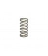 Brasilia steam valve spring