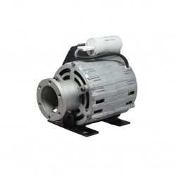 Motor de tornillo RPM con caja de conexiones 150W 230V