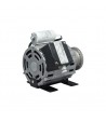 Motore a vite RPM con scatola di derivazione 150W 230V