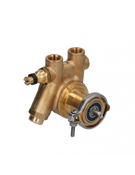 Fluid O tech rotary vane pump 200 L/H 3/8" npt