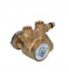 Bomba rotativa de paletas Fluid O tech 200 L / H 3/8 "npt