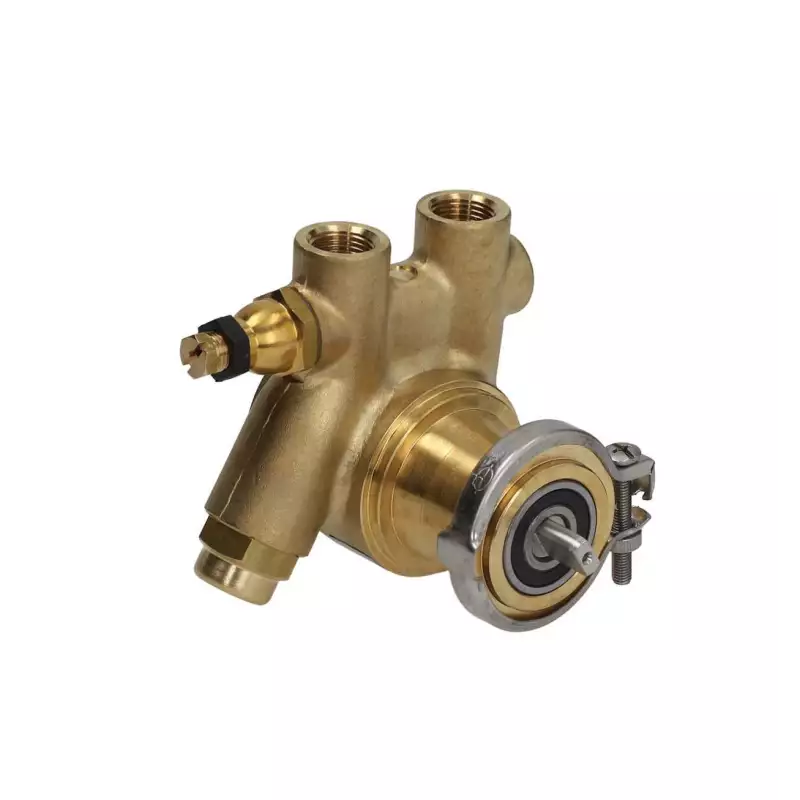 Fluid O tech rotary vane pump 100 L/H 3/8" npt