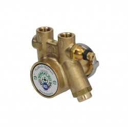 Fluid O tech pompa rotativa a palette 100 L / H 3/8 "npt