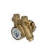 Bomba rotativa de paletas Fluid O tech 100 L / H 3/8 "npt